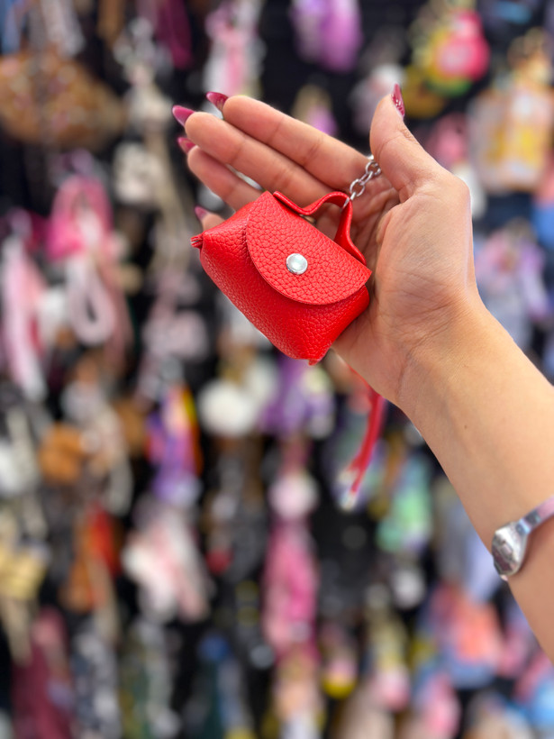 چارم بگ،آویز کیف مدل مینی بگ